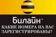 Как узнать какие номера телефонов зарегистрированы на Вас в Билайне