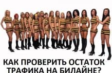 Как проверить остаток трафика на Билайне: 6 простых способов