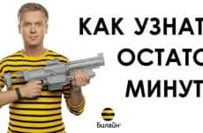 Как узнать остаток минут на тарифах Билайн