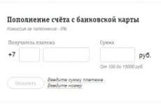 Пополнение счета Билайн с банковской карты (скриншот с официального сайта оператора)