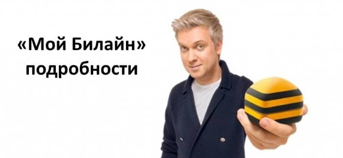 Услуга Мой Билайн: подробный обзор