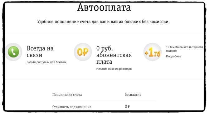 Опция Билайн Автооплата: подробное описание