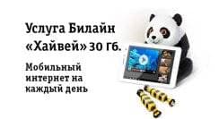 Билайн Хайвей 30 ГБ.: подробное описание