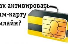 Как активировать сим-карту Билайн: инструкция