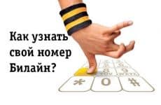 Как узнать свой номер на Билайн
