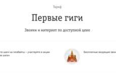Тариф Билайн Первые Гиги (скриншот с официального сайта оператора)
